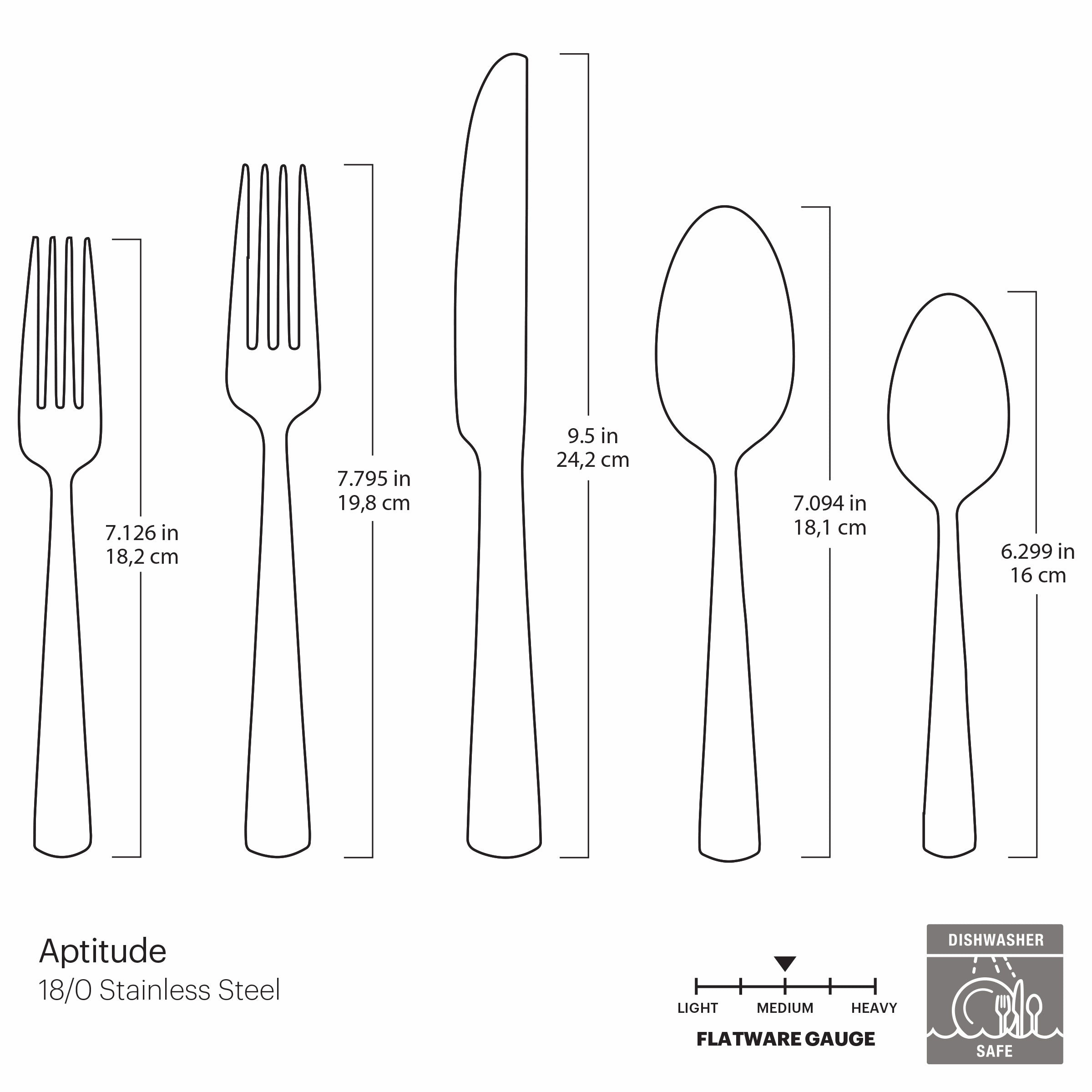 Aptitude Midnight Glossy 20 Piece Flatware Set