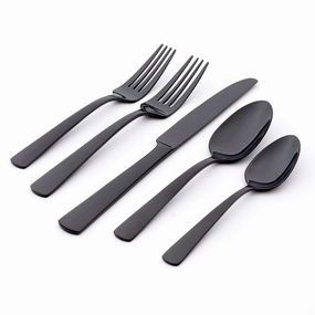Aptitude Midnight Mirror 23 Piece Flatware Set