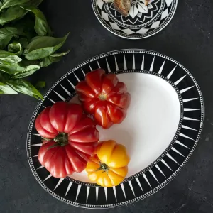 Black Burst Porcelain Serving Platter toilet seat cover, slow close seat