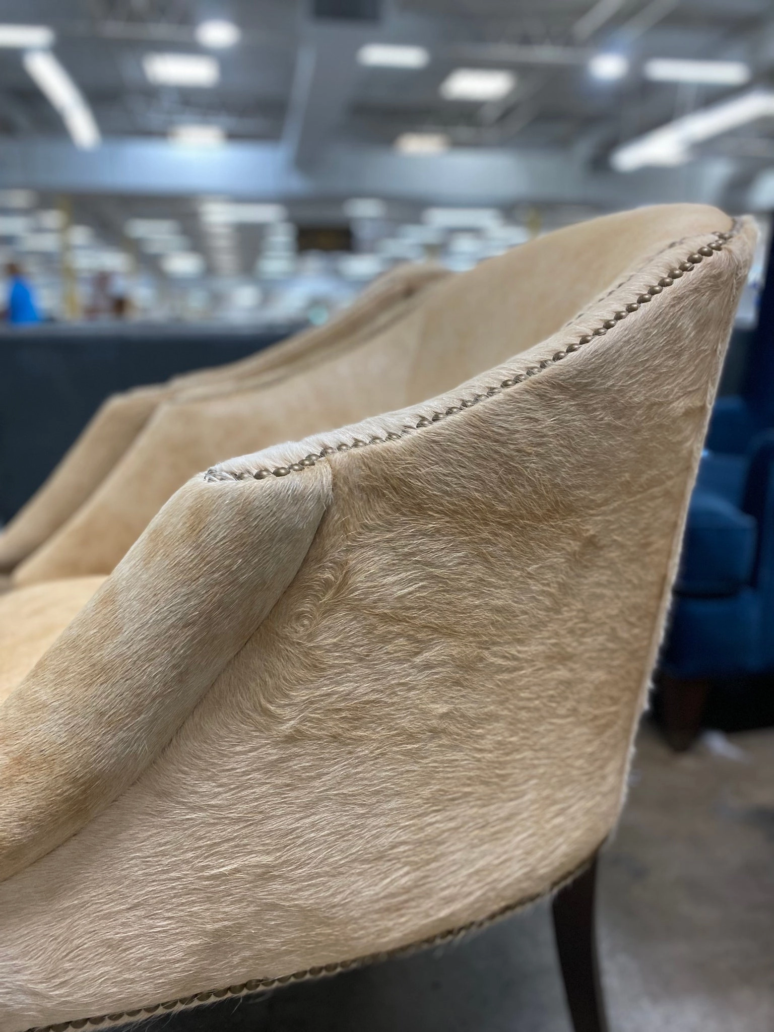 Cole Castor Chair