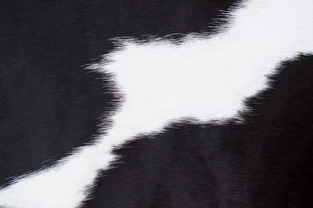 Cowhide Ottoman with Leather Top