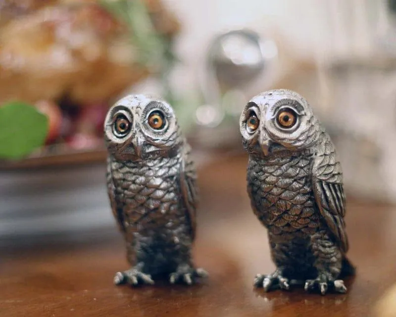 Curious Owls Salt & Pepper Shakers