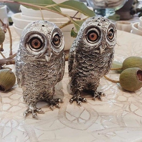 Curious Owls Salt & Pepper Shakers toilet seat cover, slow close seat