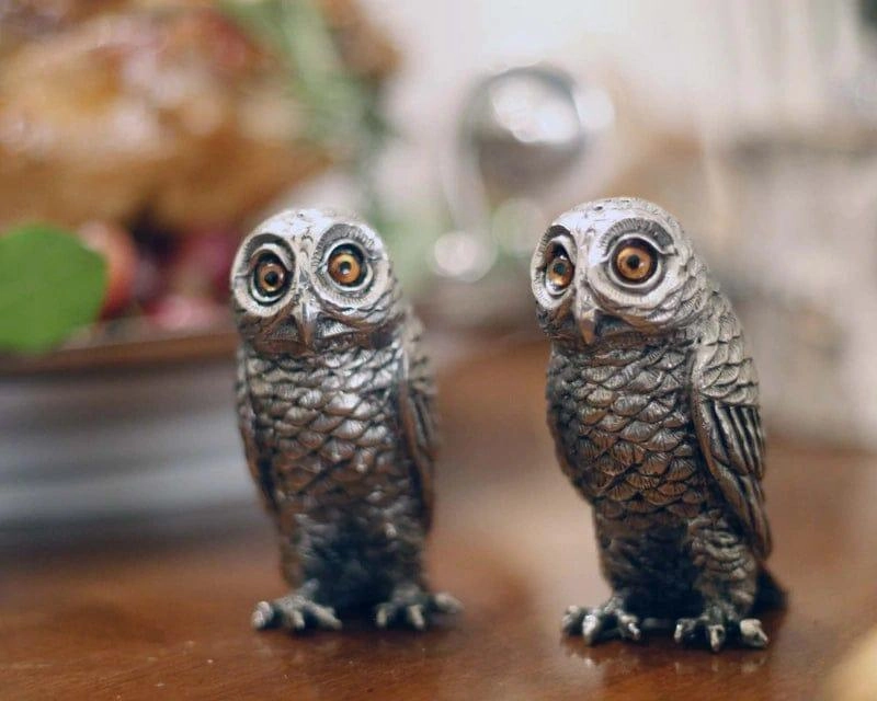 Curious Owls Salt & Pepper Shakers
