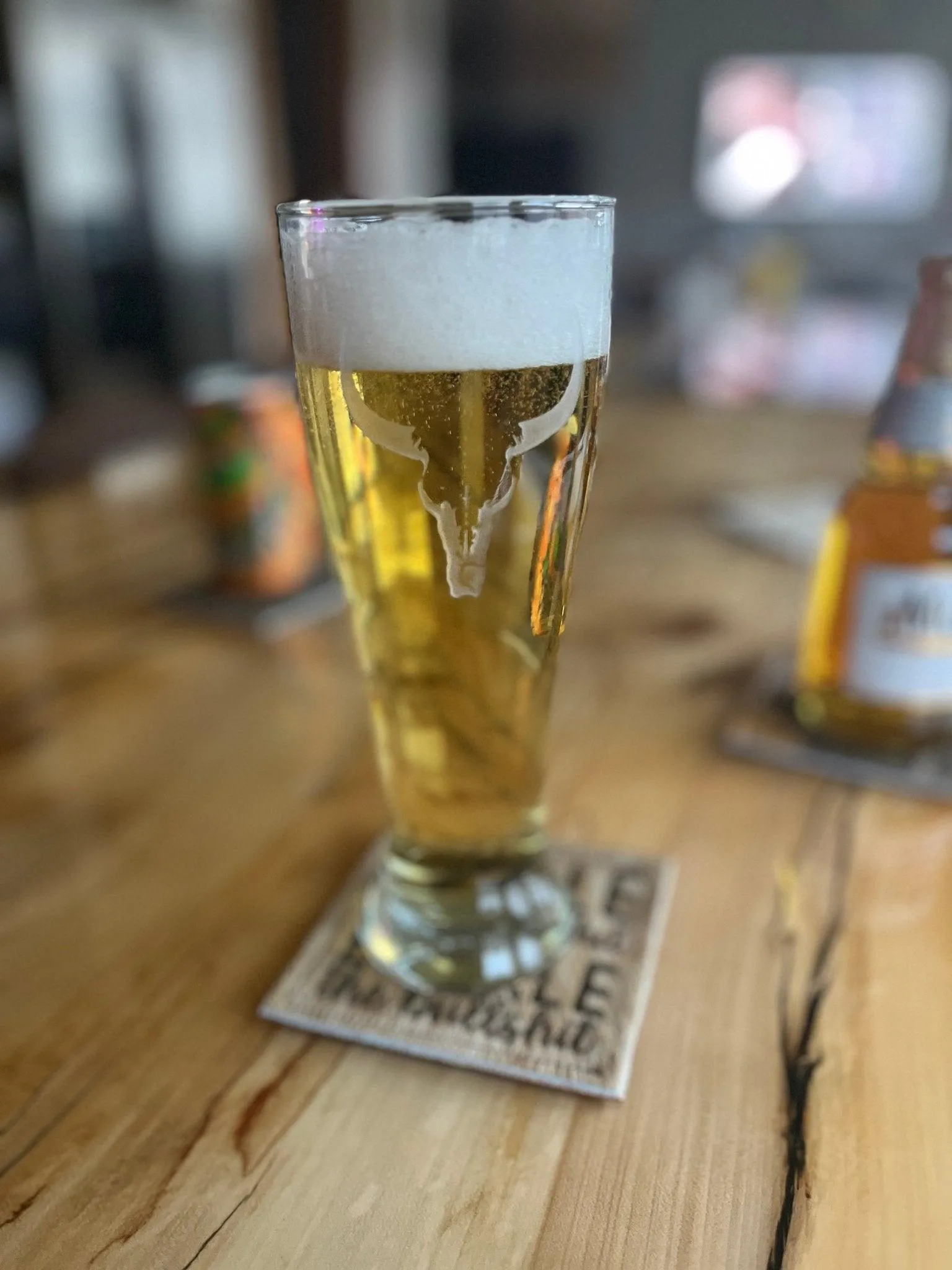 Deep Carved Longhorn Pilsner Glasses