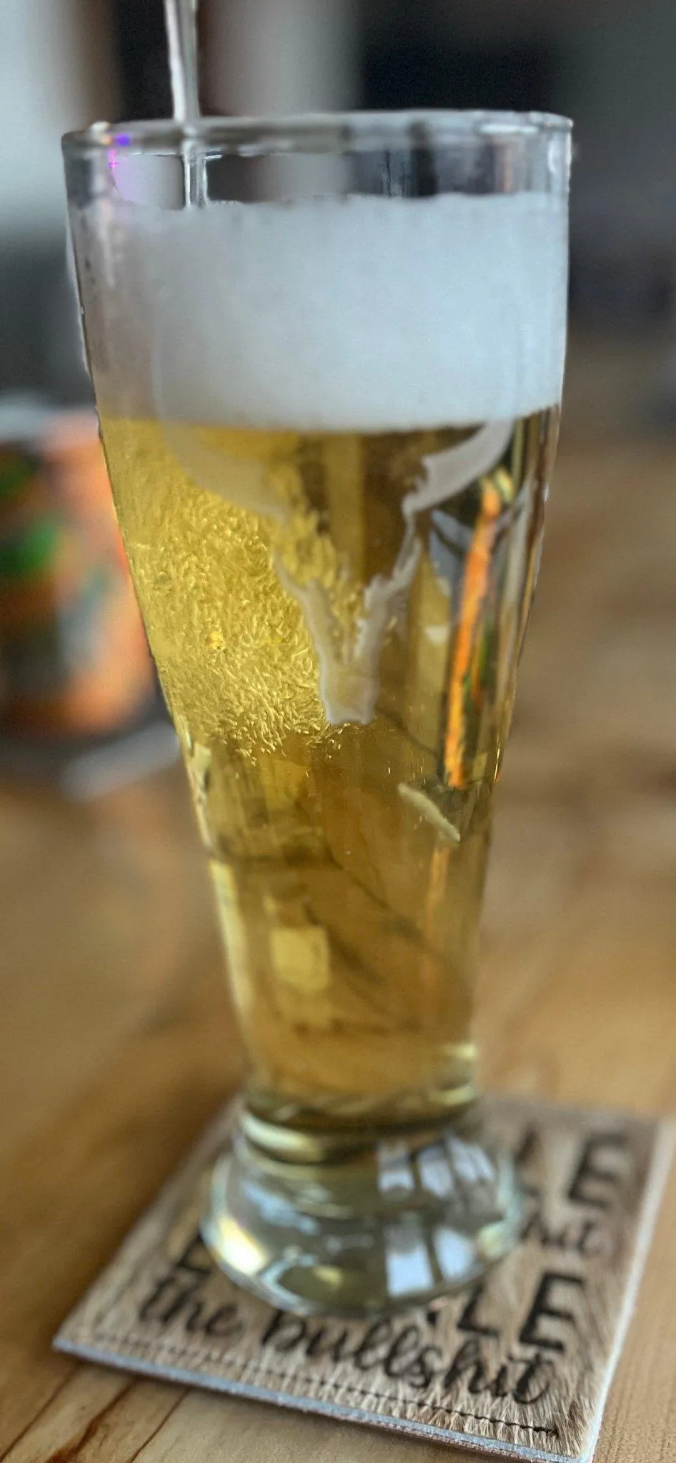 Deep Carved Longhorn Pilsner Glasses