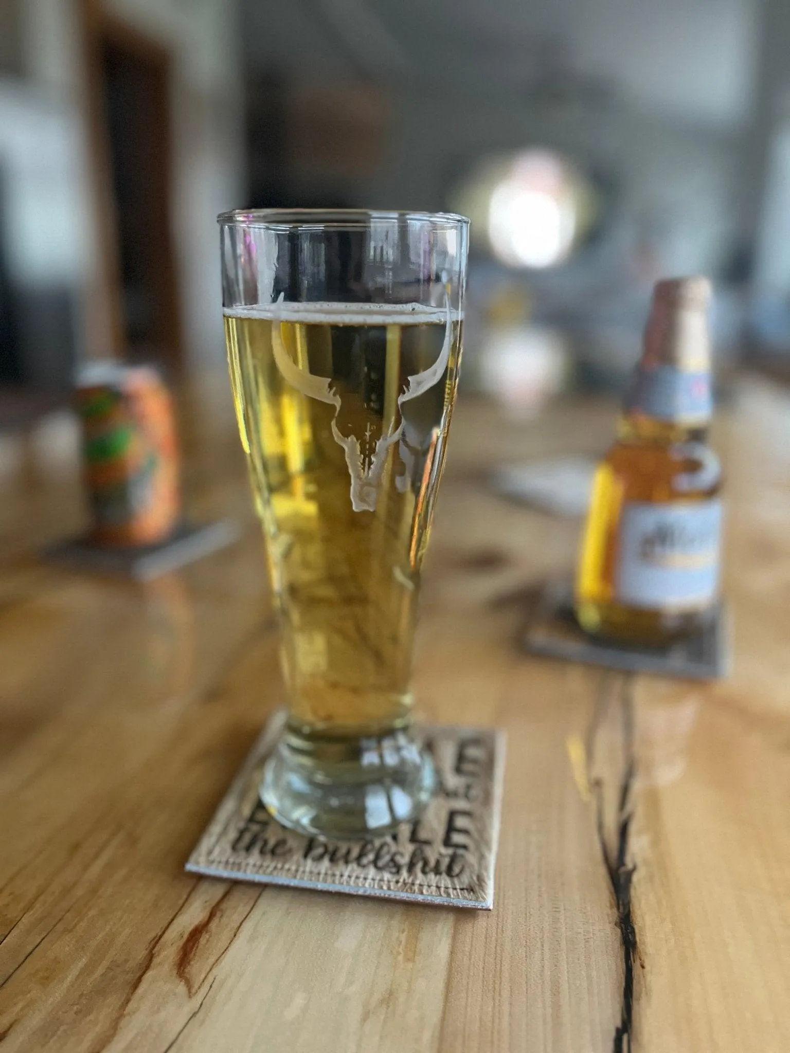 Deep Carved Longhorn Pilsner Glasses
