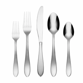 Delia Satin Mirror 20 Piece Flatware Set