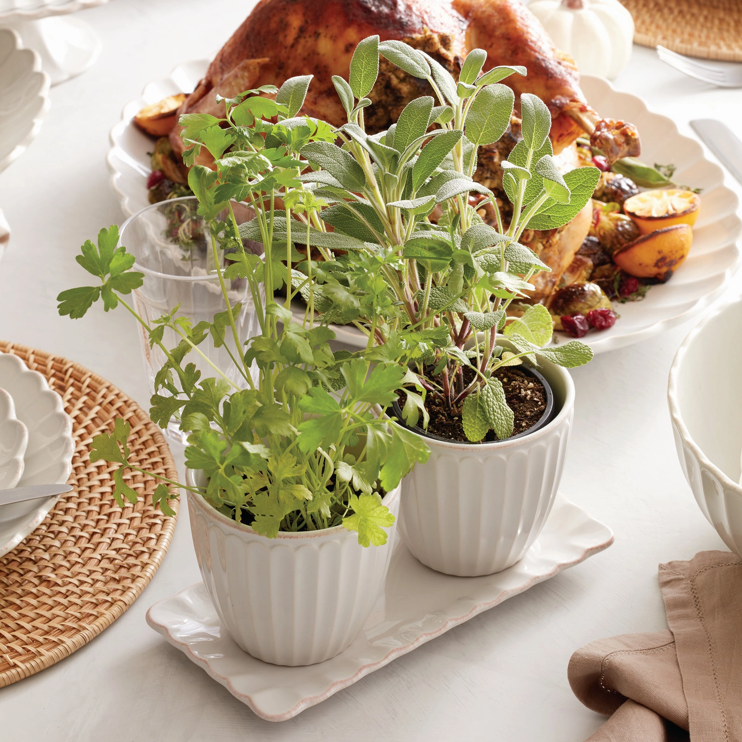 French Perle Scallop 3-Piece Herb Pot Set