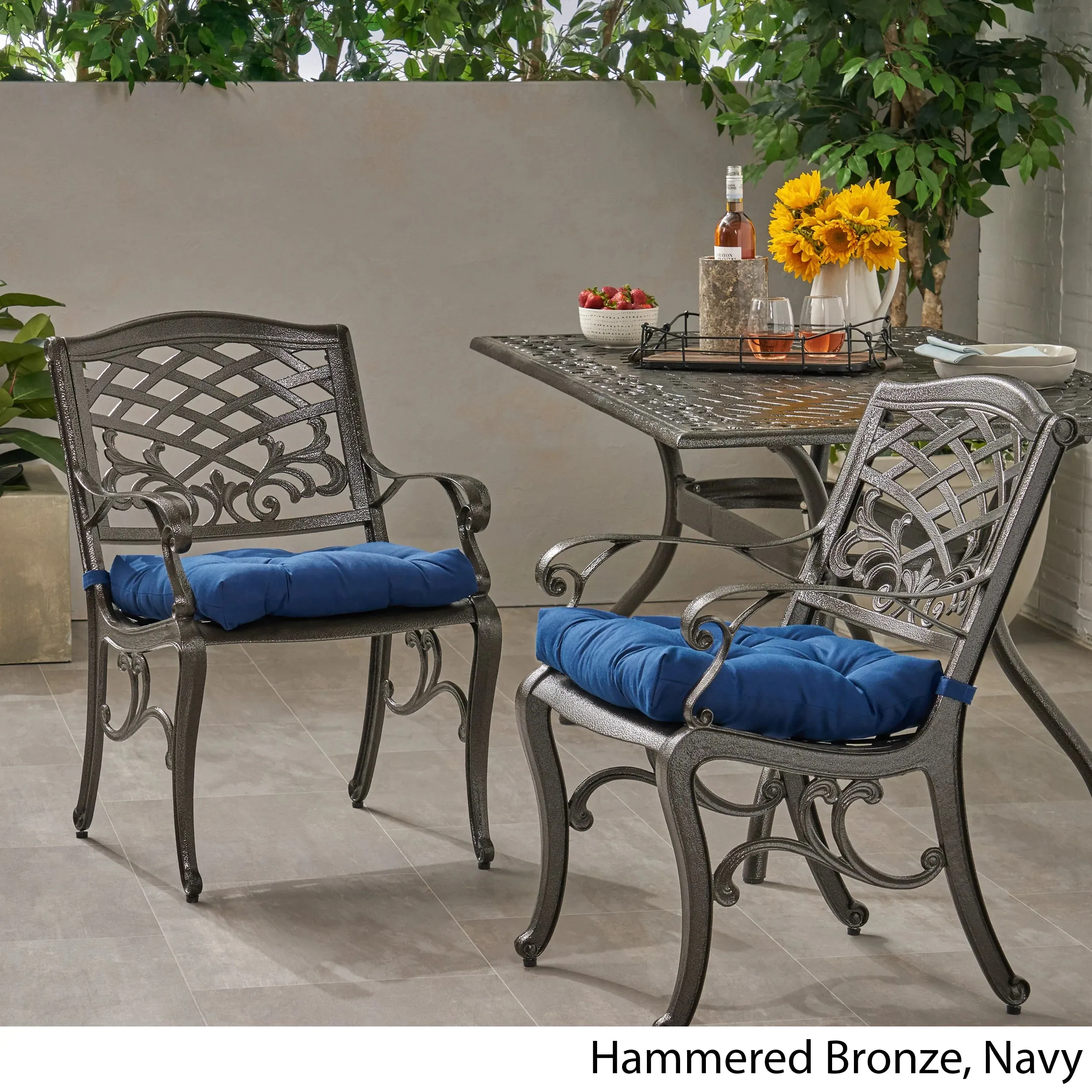 Juel Outdoor Dining Chair with Cushion (Set of 2)