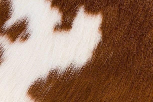 Luxury Leather Fringed Cowhide Stool Ottoman
