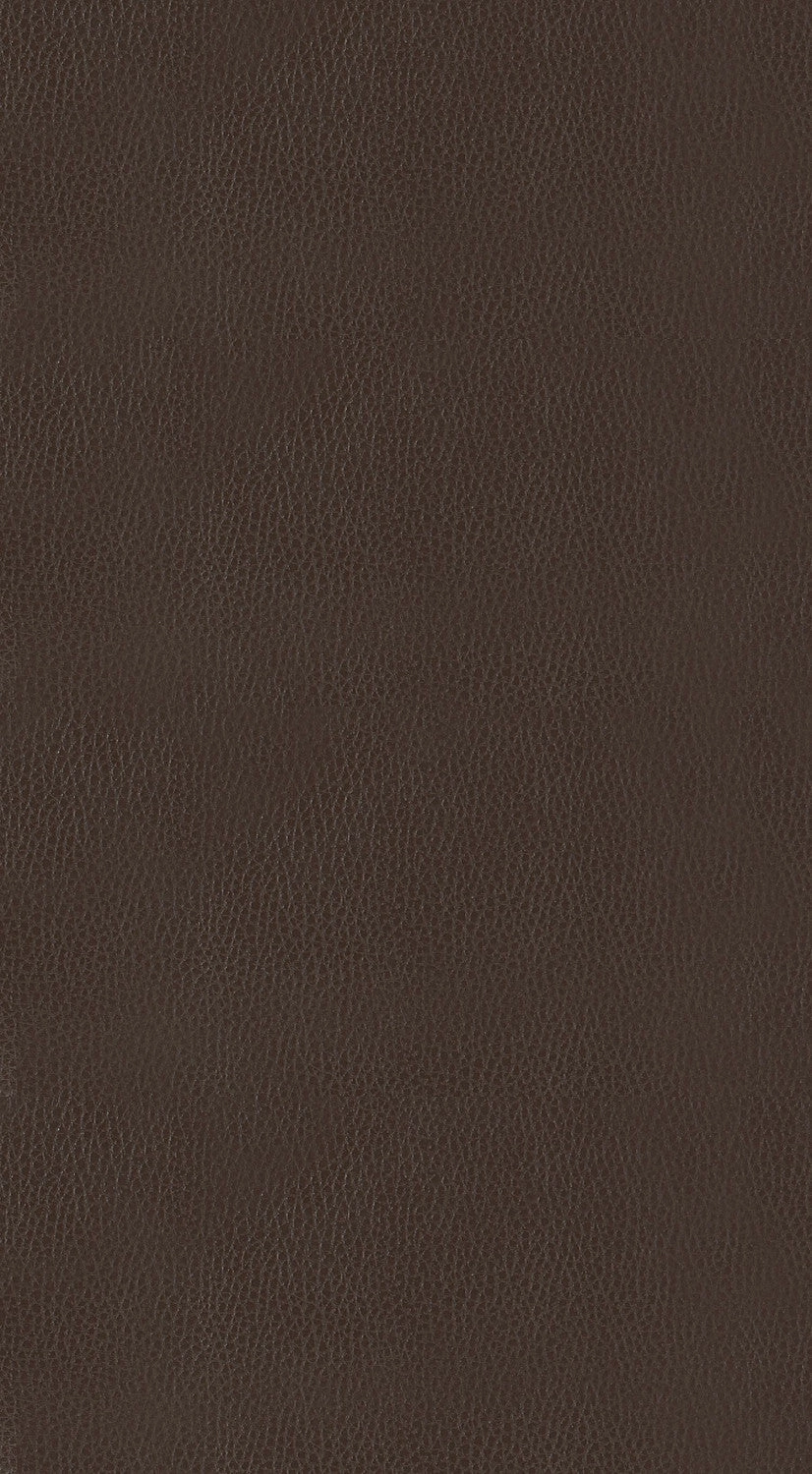 Ordway Bar Stool - Brown
