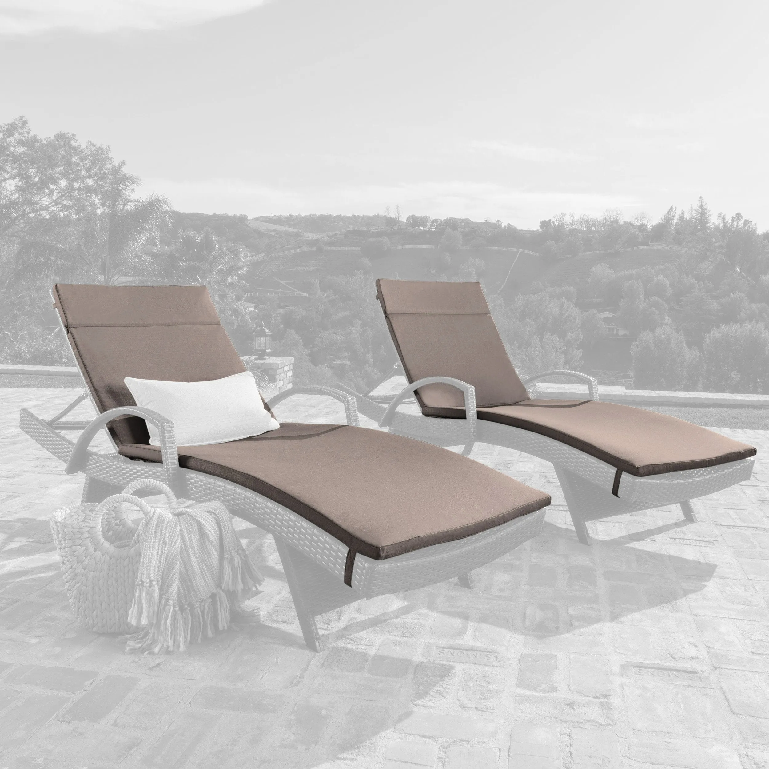 Outdoor Water-Resistant Fabric Chaise Lounge Cushions (Set of 2) - NH424612