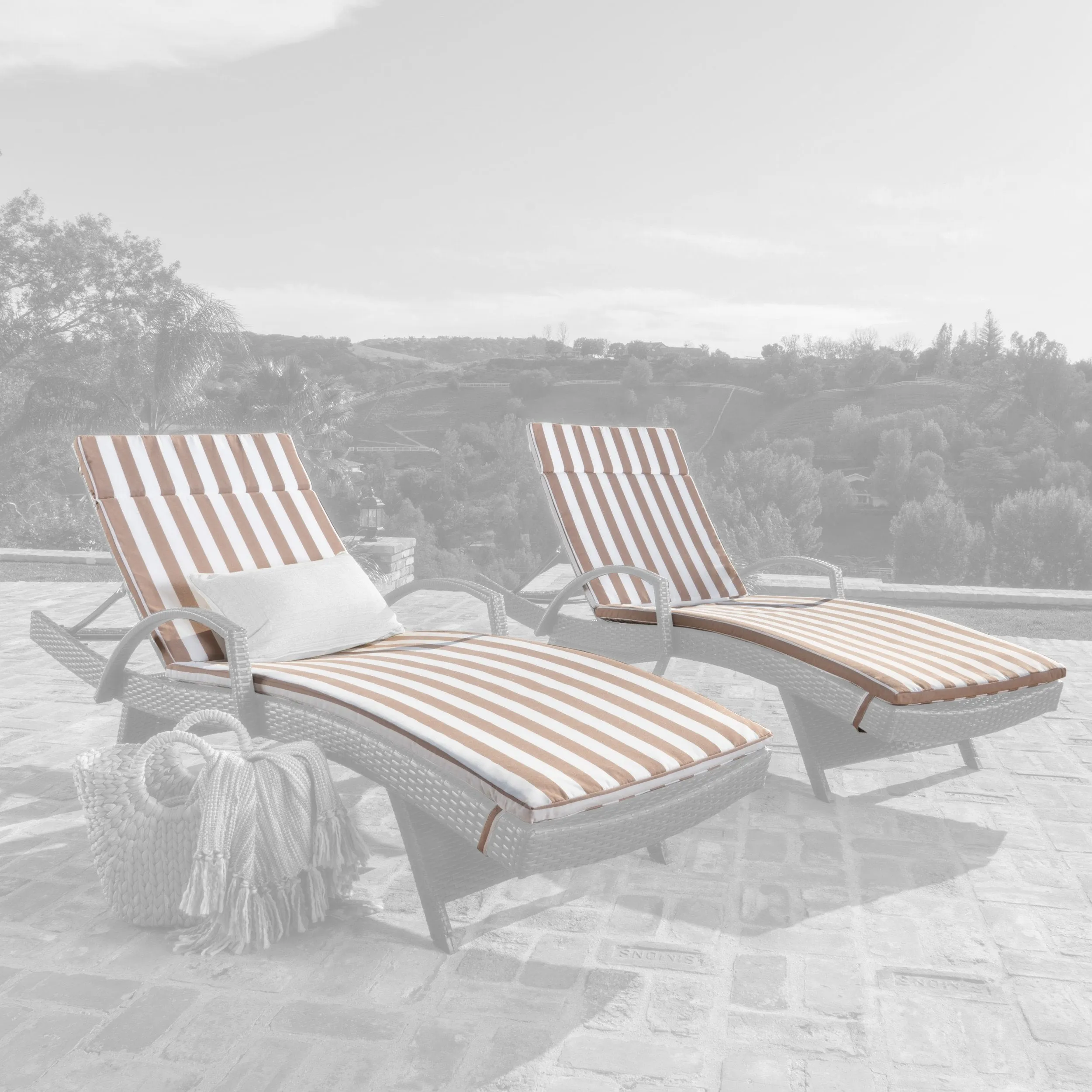 Outdoor Water-Resistant Fabric Chaise Lounge Cushions (Set of 2) - NH424612
