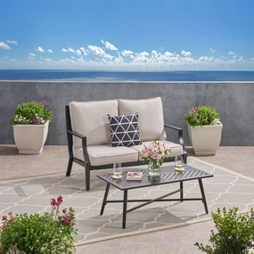 Outdoor Aluminum Loveseat and Coffee Table Set - NH153803 clothes rack, garment rack