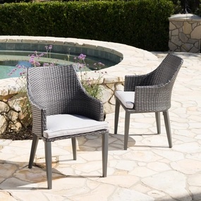 Outdoor Wicker Dining Chairs with Water Resistant Cushions (Set of 2) - NH064203 chandelier, pendant light