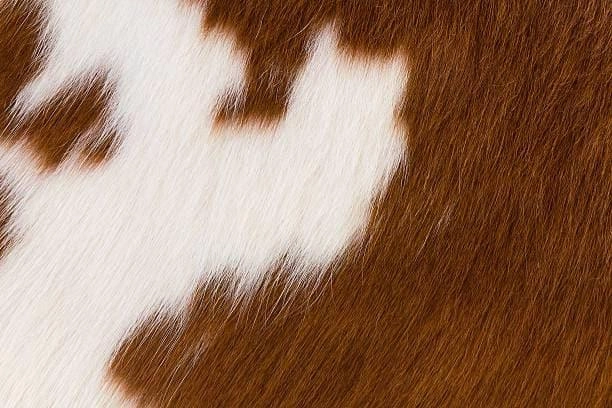 Peak 9 Iron & Cowhide Bar Chairs