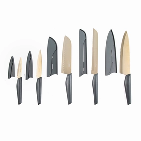 Robert Irvine 10 Piece Cutlery Set - Grey and Champagne