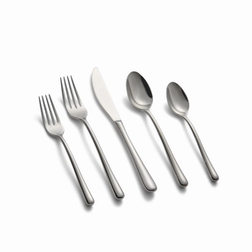 Samantha Mirror 20 Piece Flatware Set