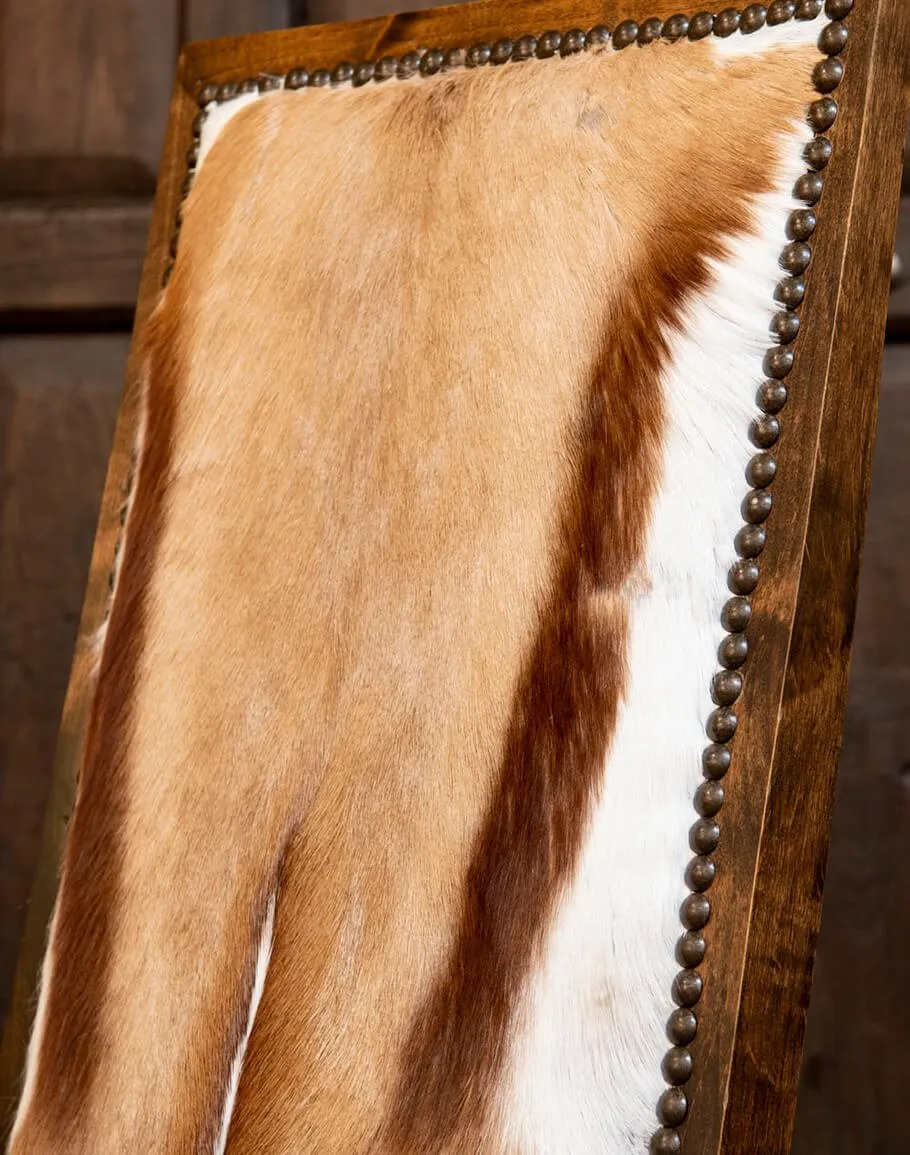 Springbok & Leather Side Chair