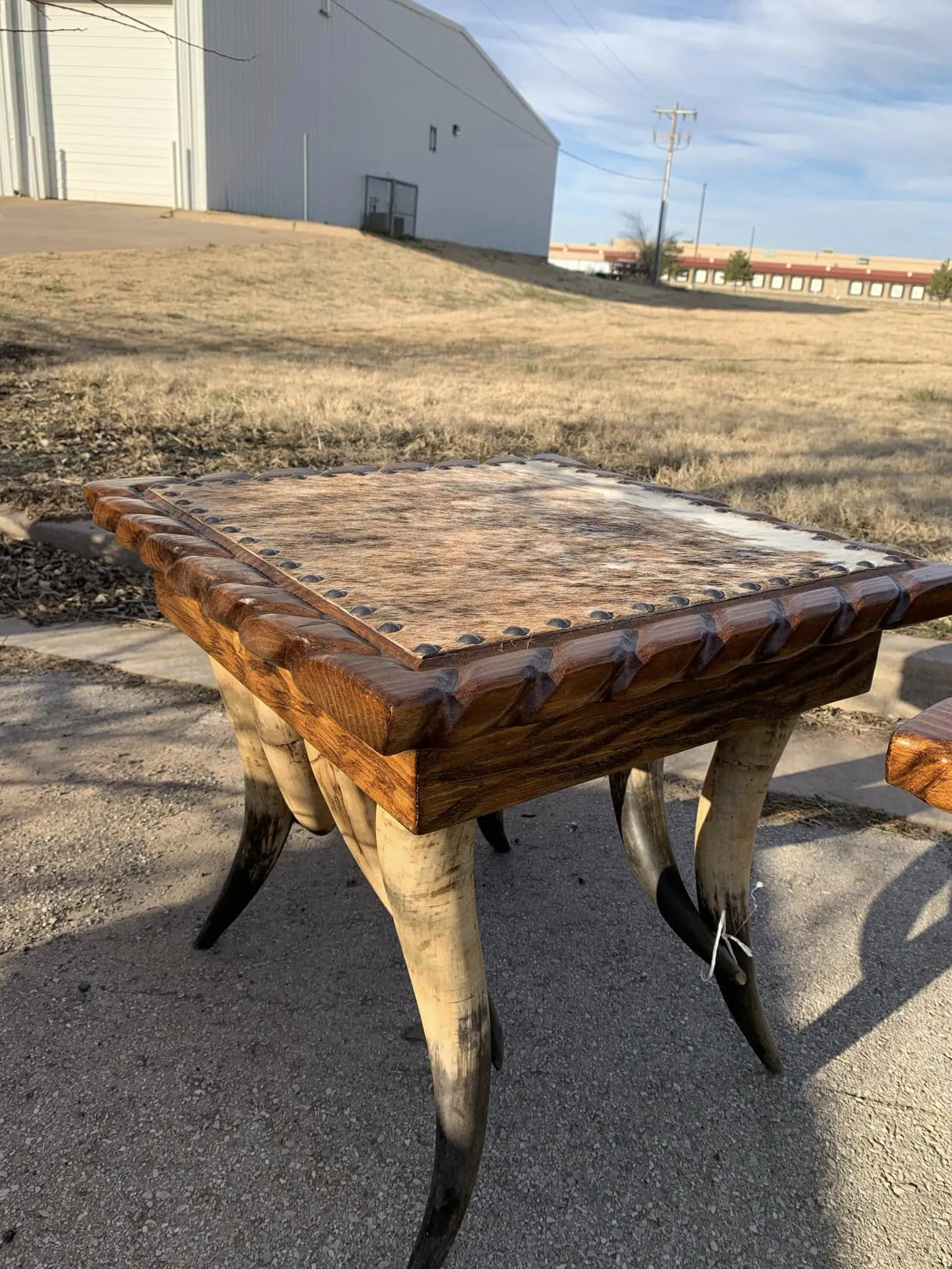 Square Cowhide & Horn Side Tables