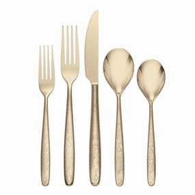 Storm Champagne 20 Piece Flatware Set