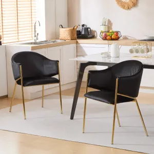 Velvet Dining Chairs with Gold Metal Frame, Set of 2 dining table set, 6-piece dining set
