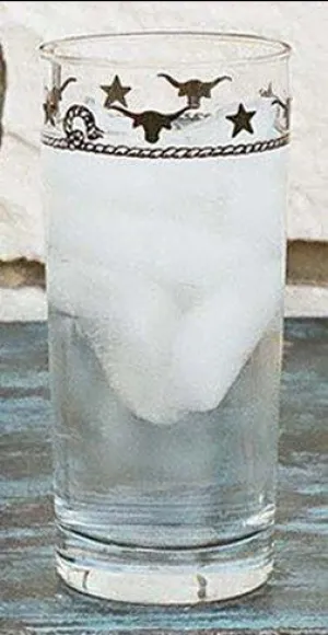 Western Longhorn Beverage Glasses toilet seat cover, slow close seat